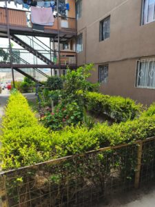 whatsapp image 2026 01 02 at 12.47.55